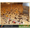 hot sale bird water drinker for poultry broilers